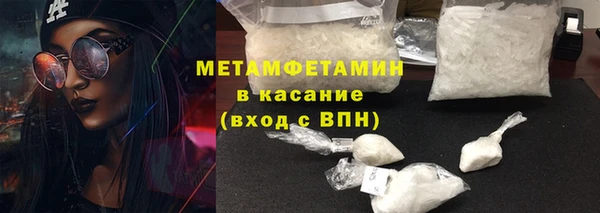 сатива Аркадак