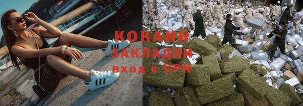 сатива Аркадак