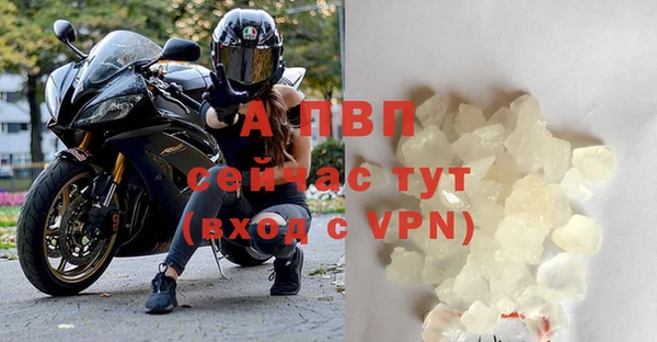 сатива Аркадак