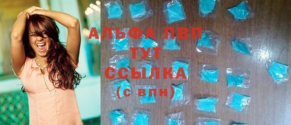 сатива Аркадак